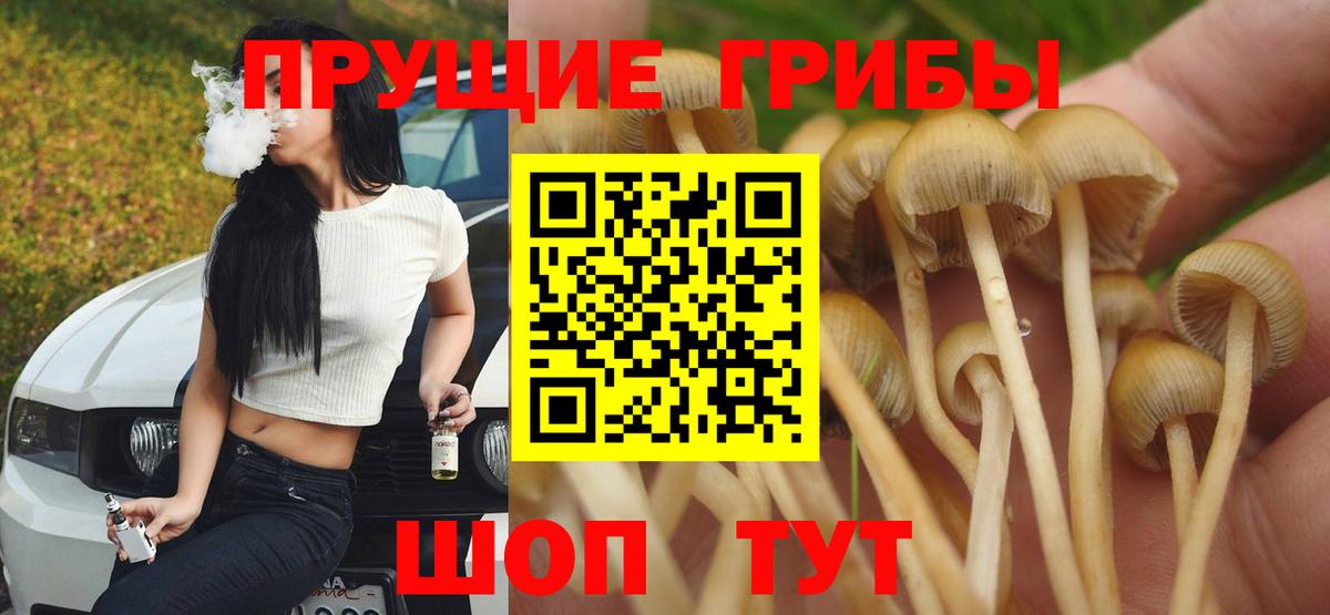 Галлюциногенные грибы мицелий Дубна